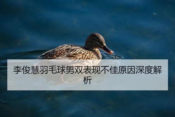 李俊慧羽毛球男双表现不佳原因深度解析