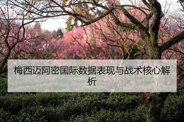 梅西迈阿密国际数据表现与战术核心解析